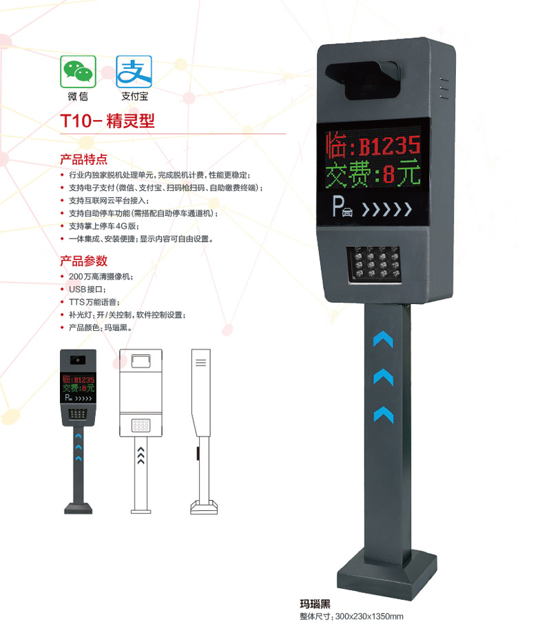 T10-精靈型