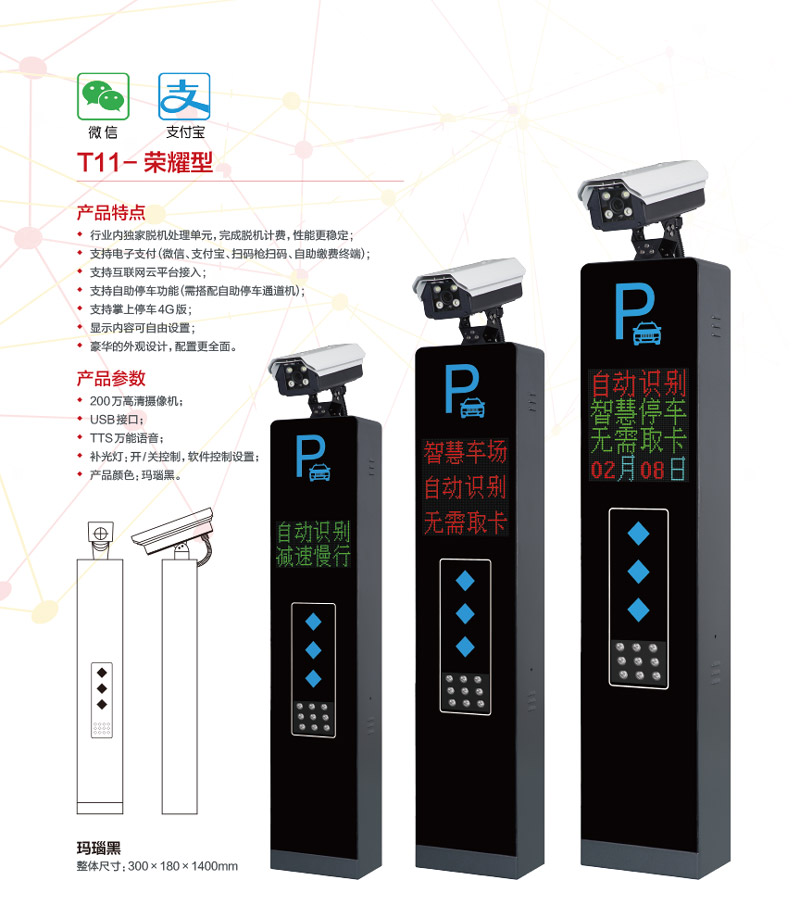 T11-榮耀型